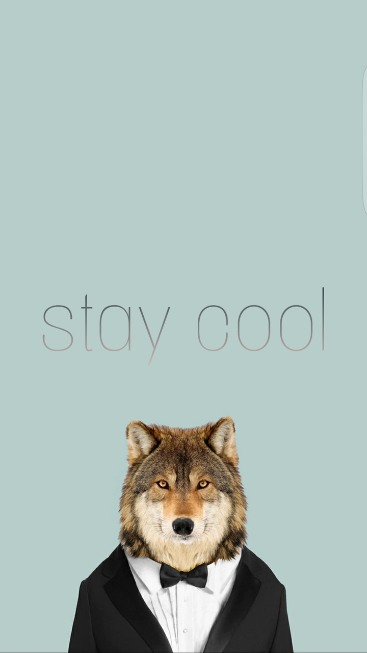 Stay cool , bro