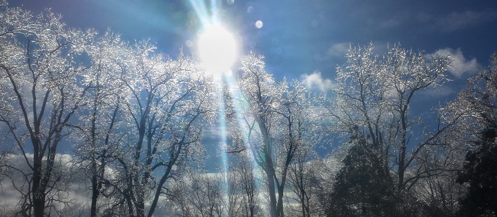 Winter Wonderland