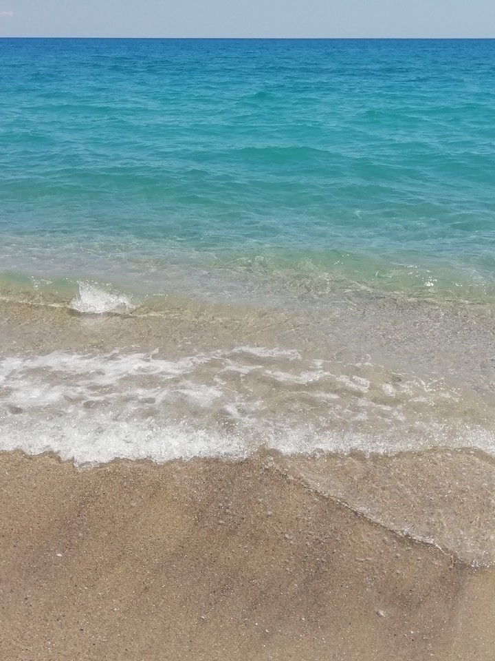 mare