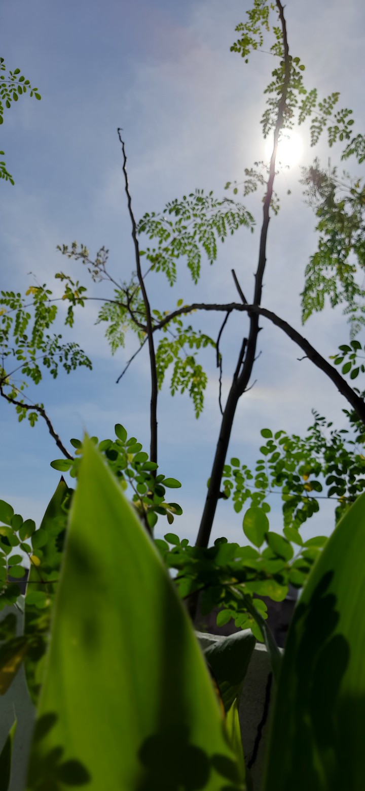 sky