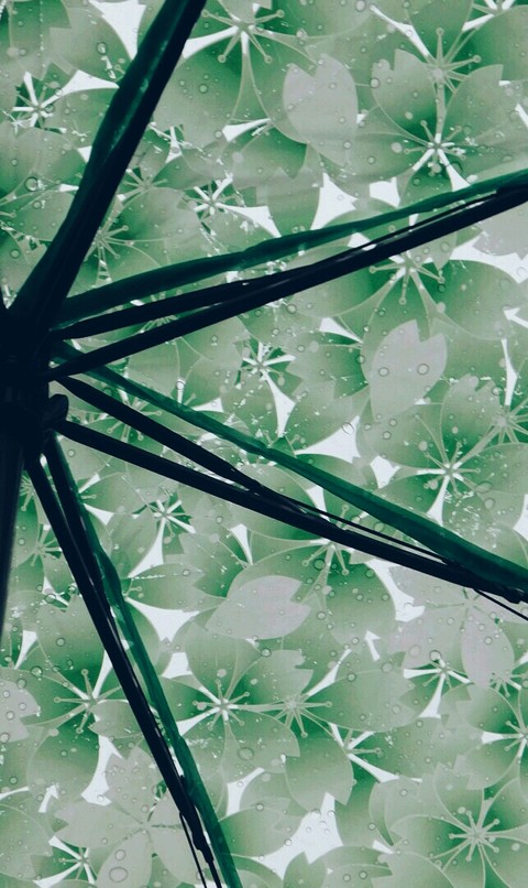 Rain in the City