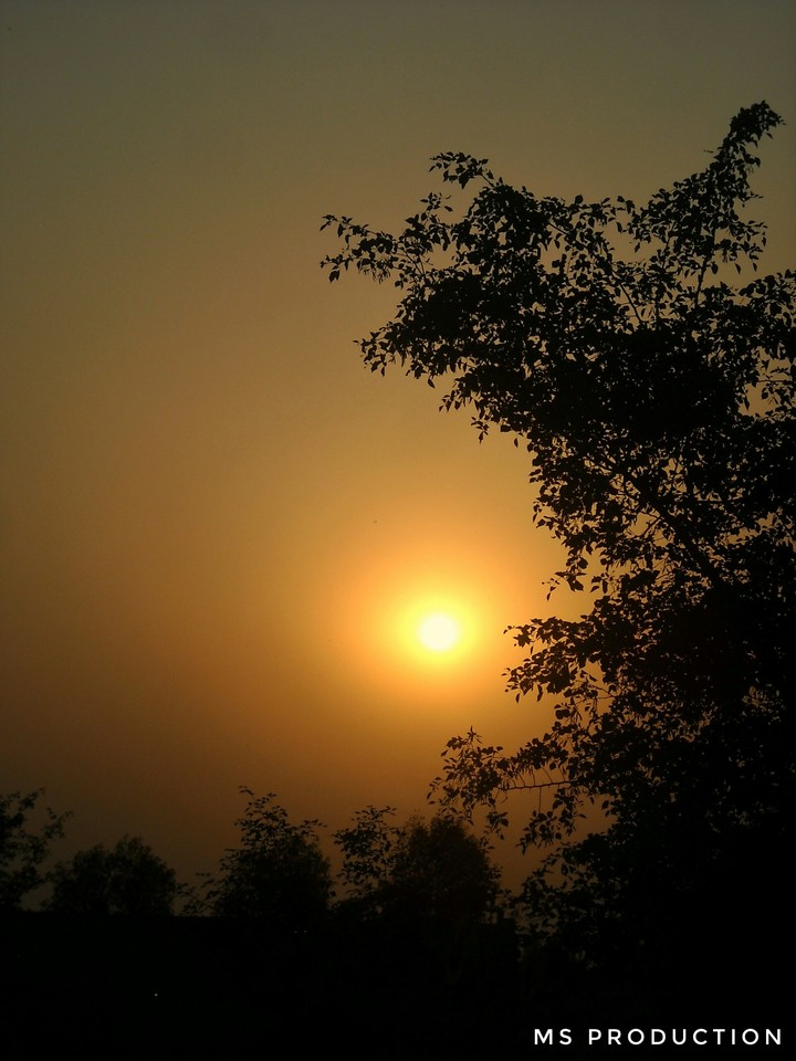 Sun light !