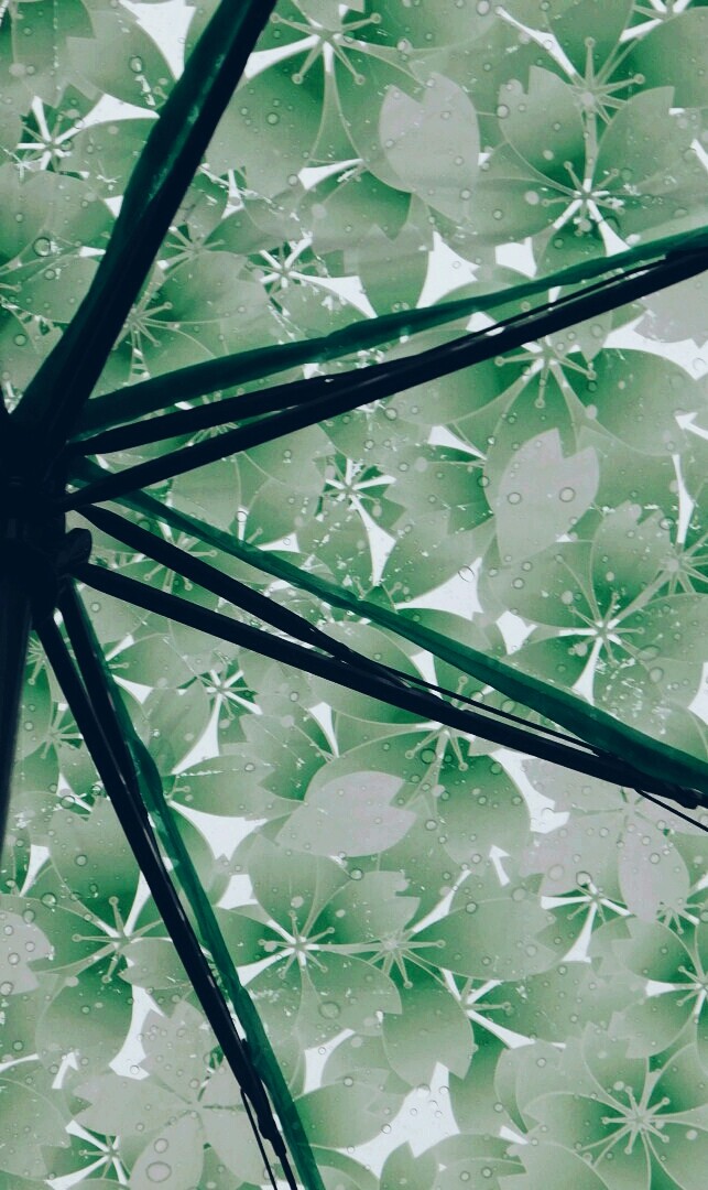 Rain in the City