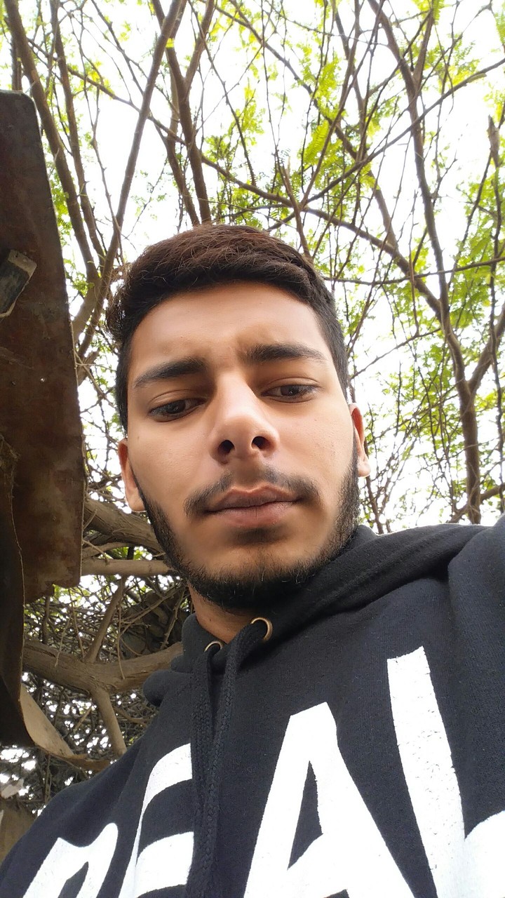 Selfiholic