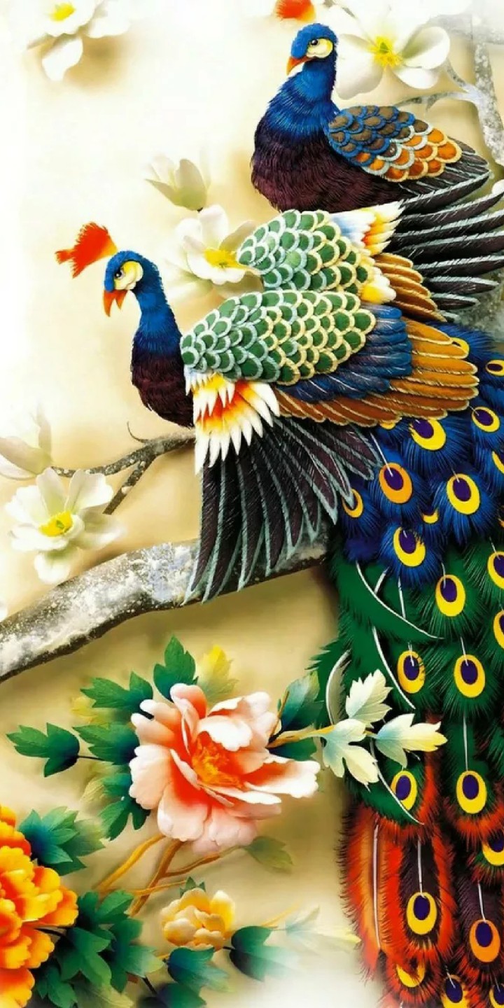 el ave pavo real