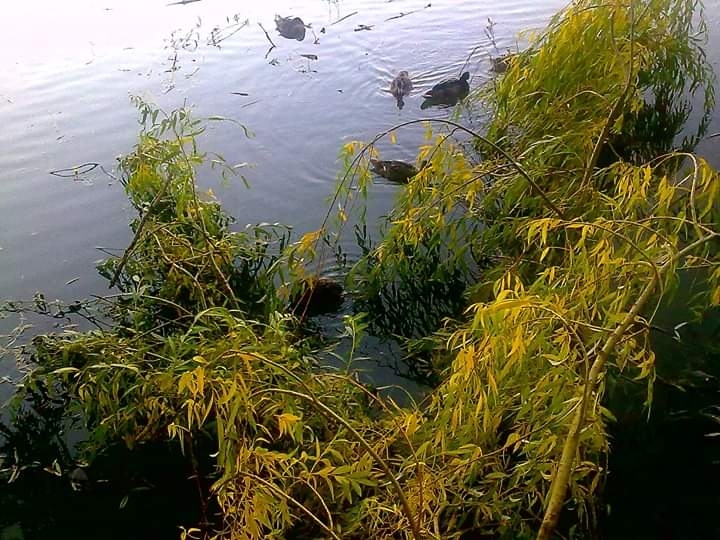 river