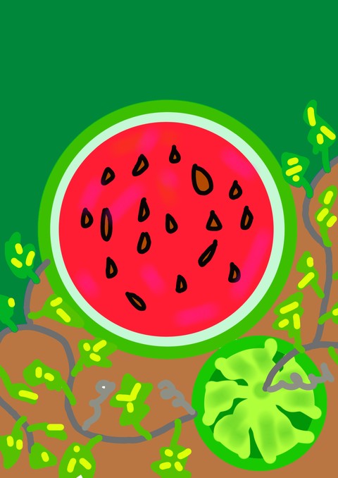 WATER MELON