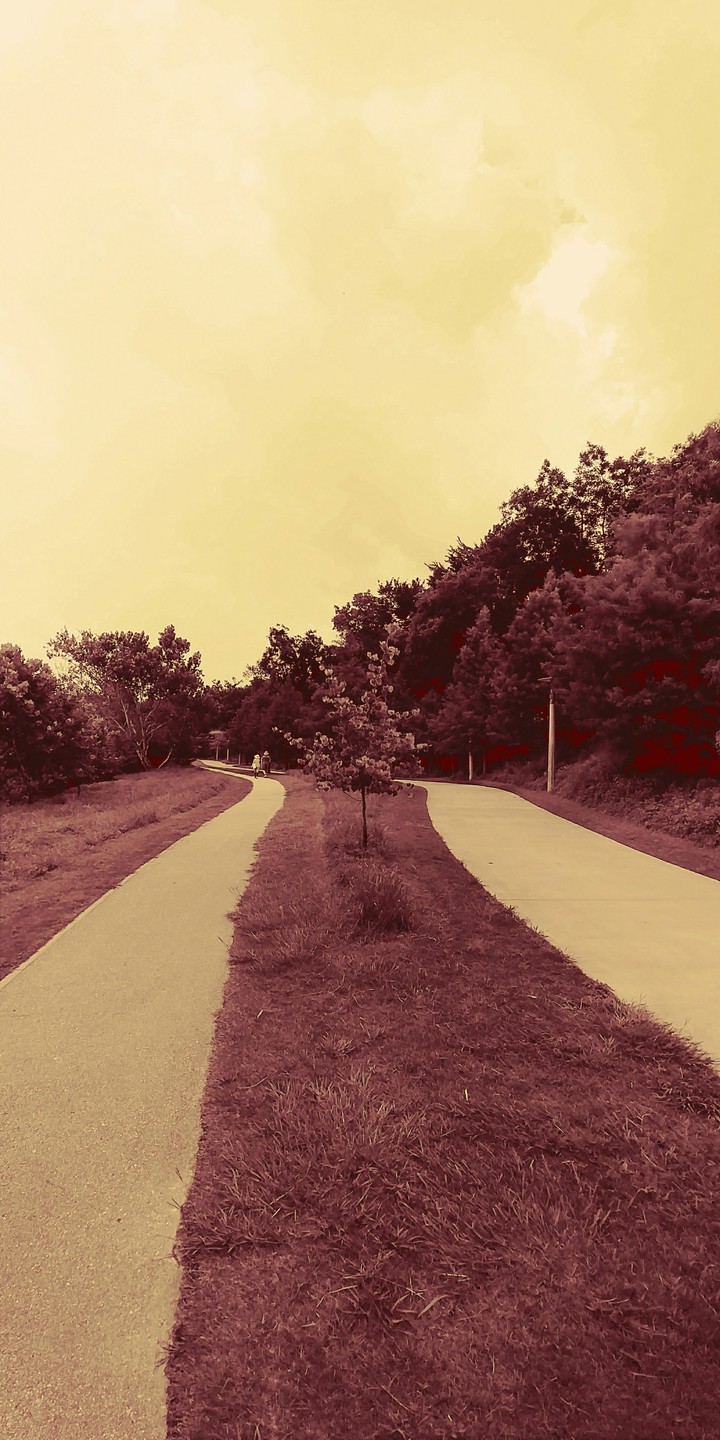 Parallel Pathways