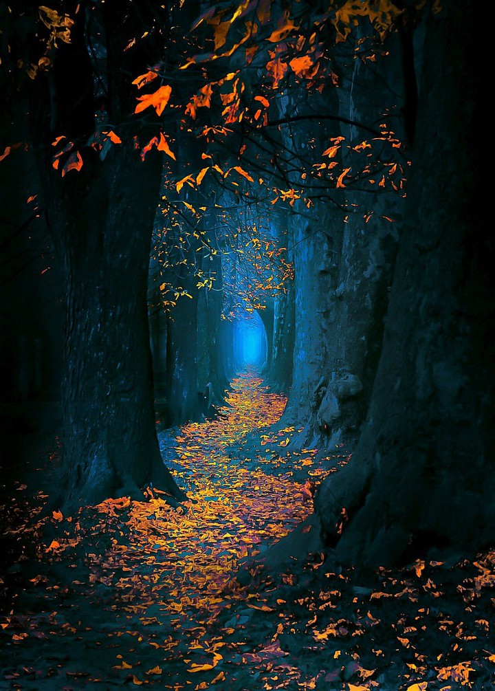 Again, the beauty of nature, no matter how much you look at