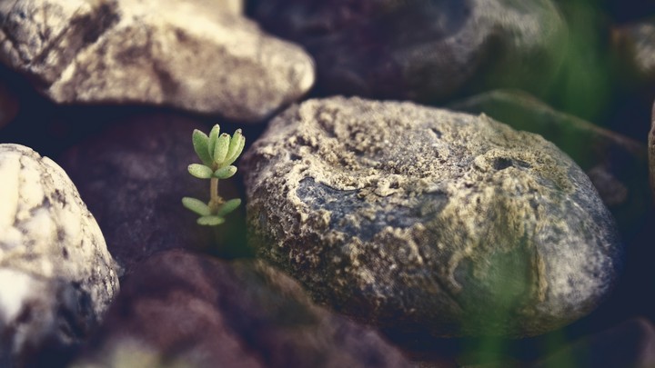 photograph by @hossein_omidiyan