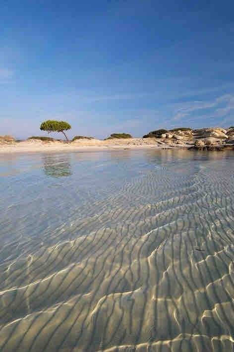 mare o specchio ?
