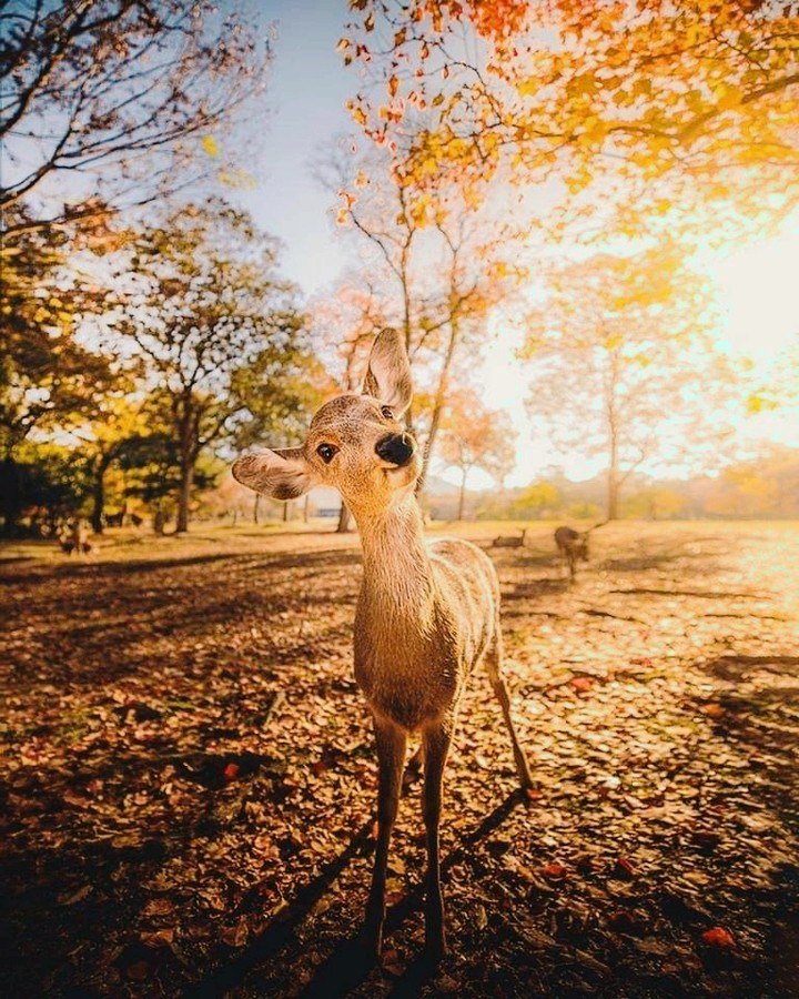 morning