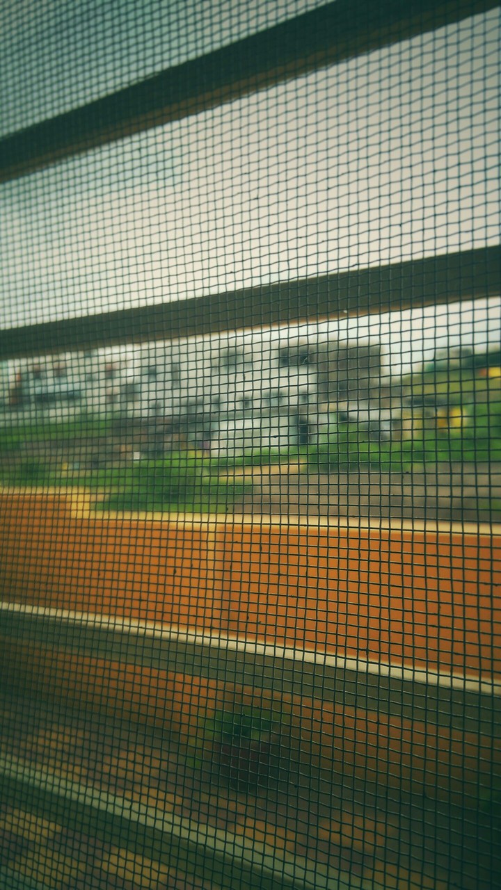 window