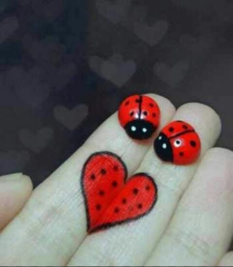 heart