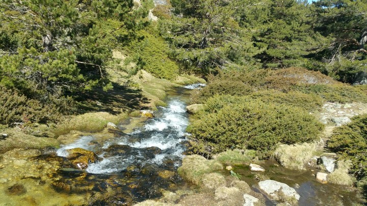 Green path