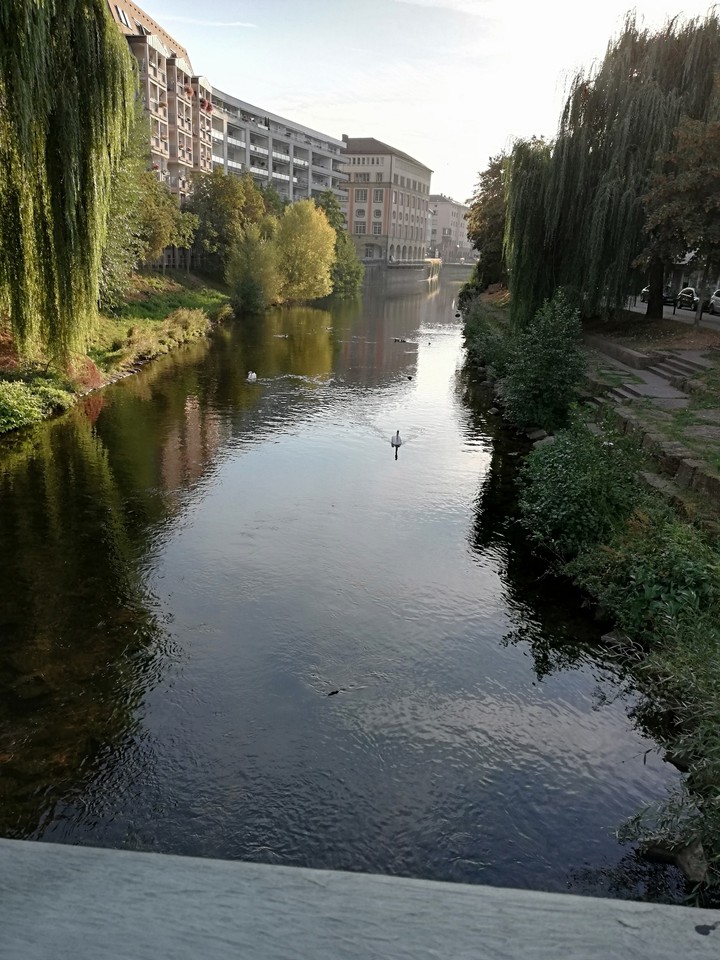 nature 