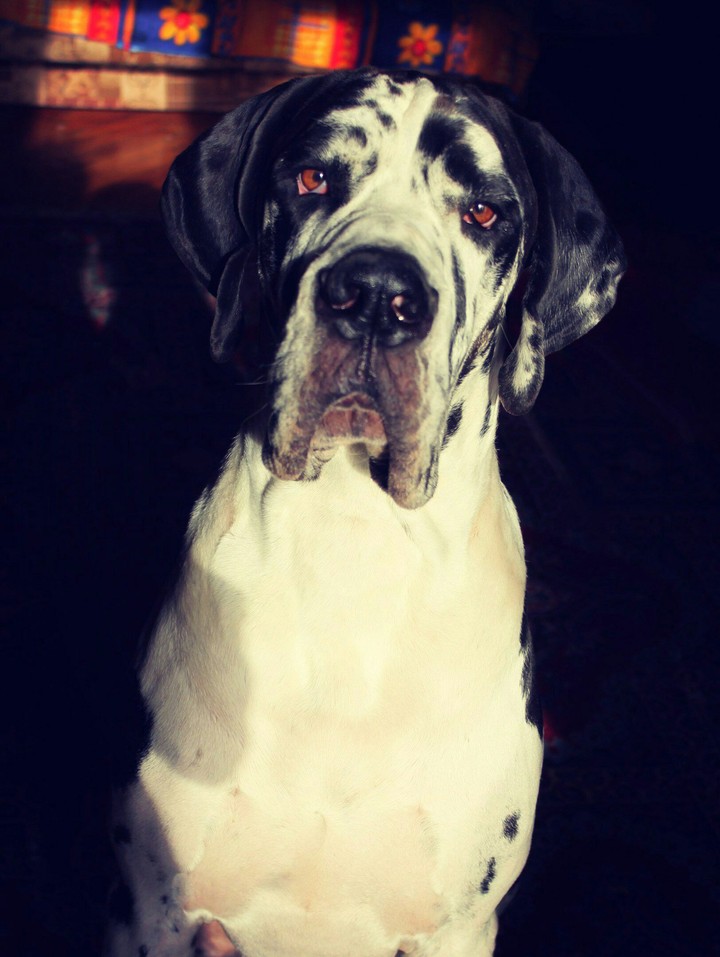Tort