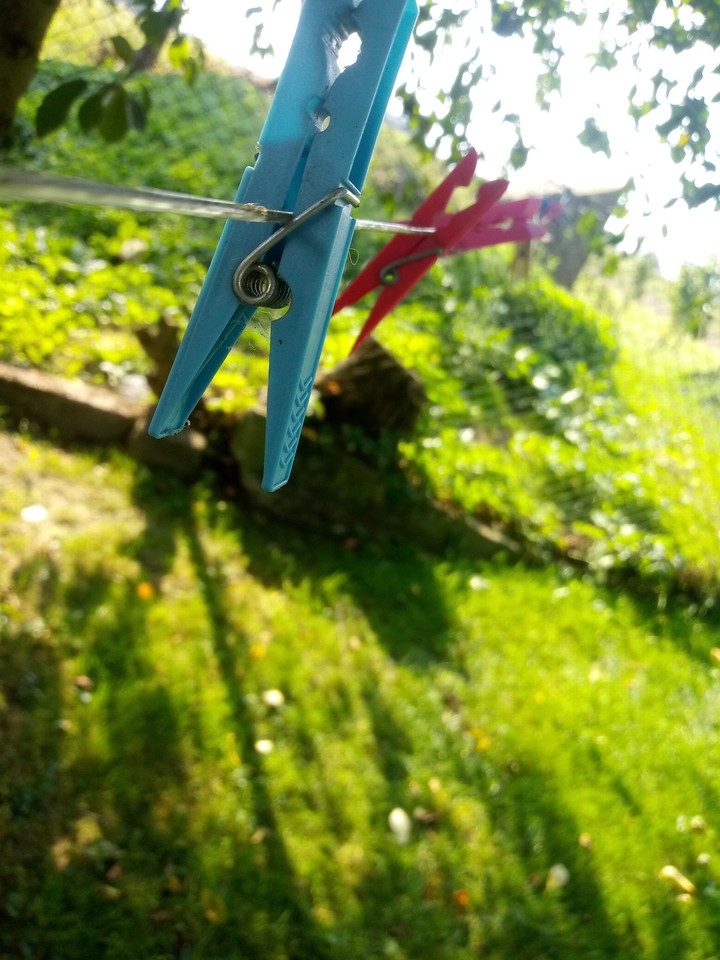 summer