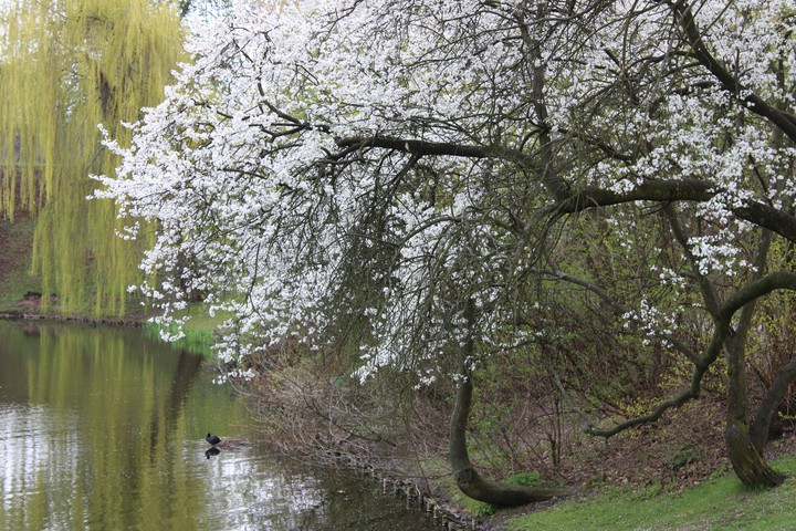 Park
