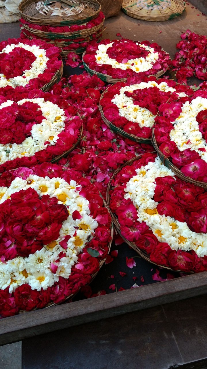 roses