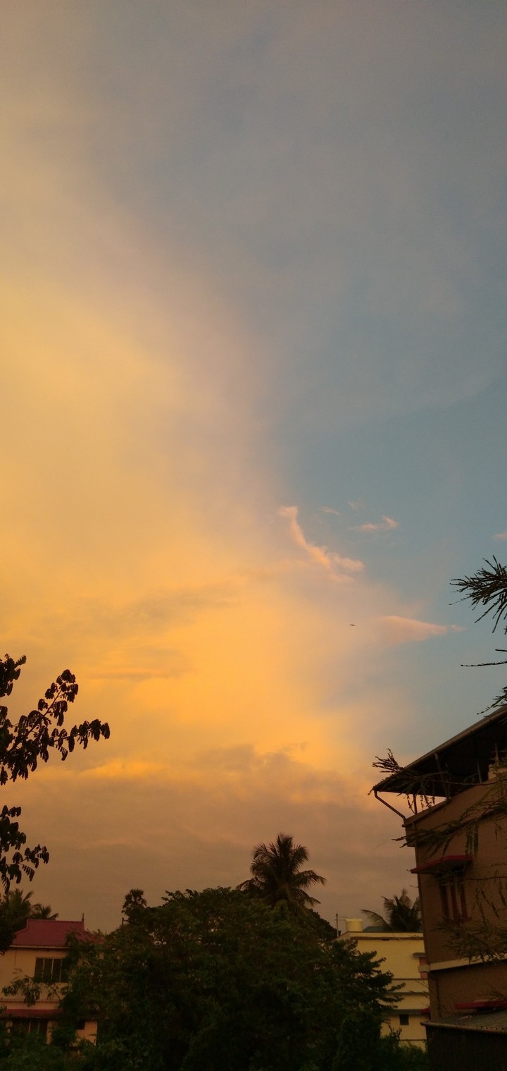 evening vibe