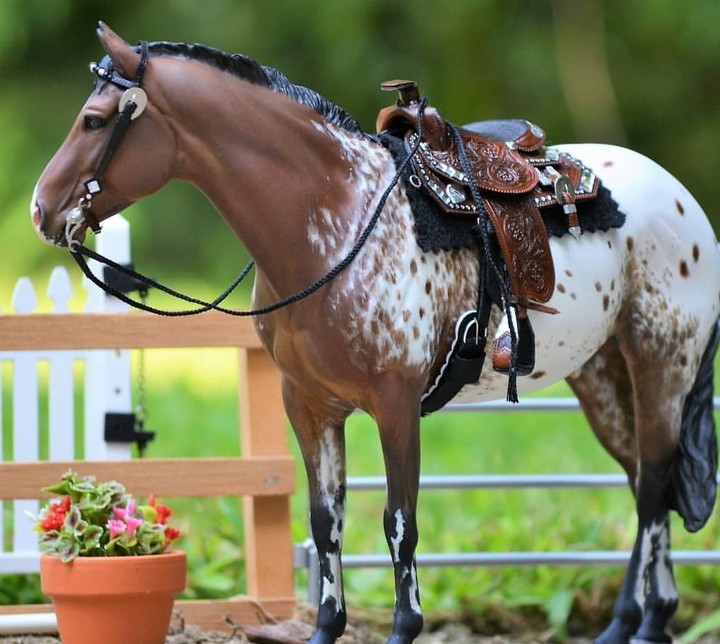 HORSE