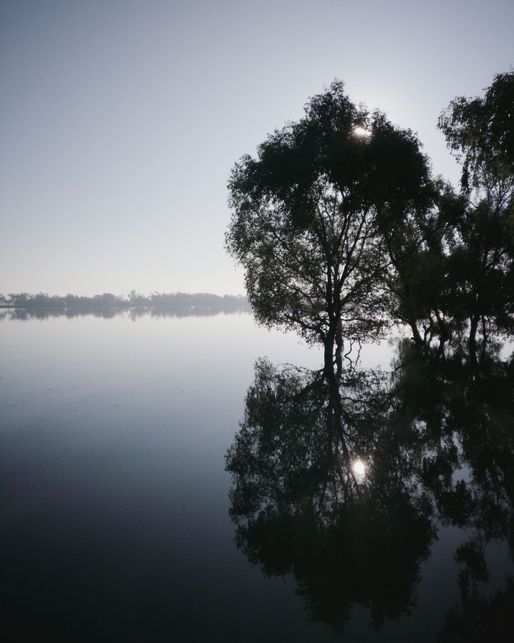 winter morning