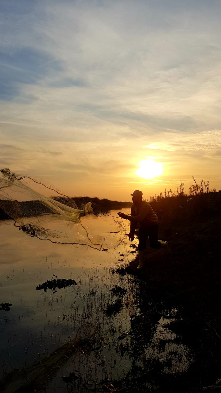 Hunting