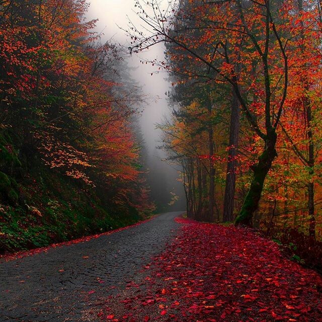 NICE PHOTO...