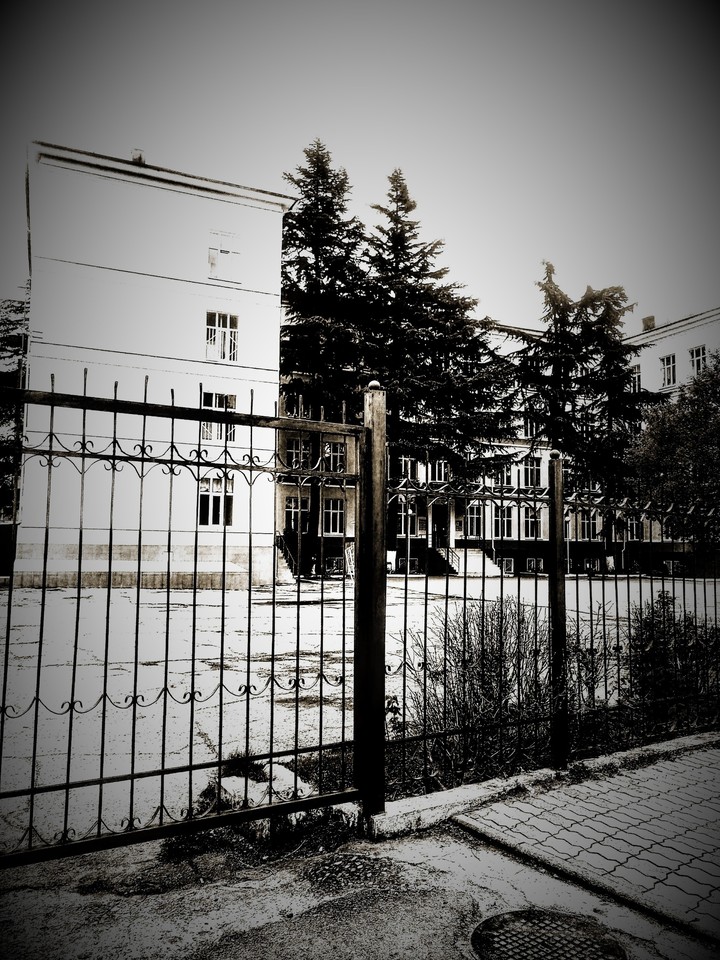 МОЯ  ШКОЛА