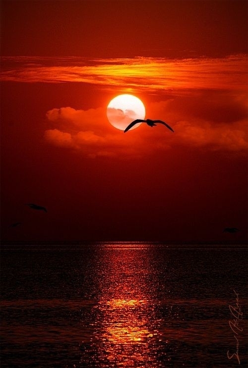 Boa Boa noite