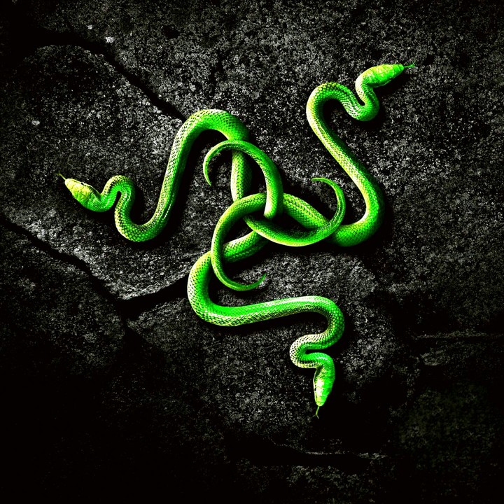 Razer