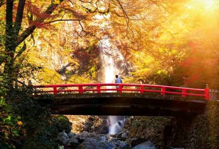 nature