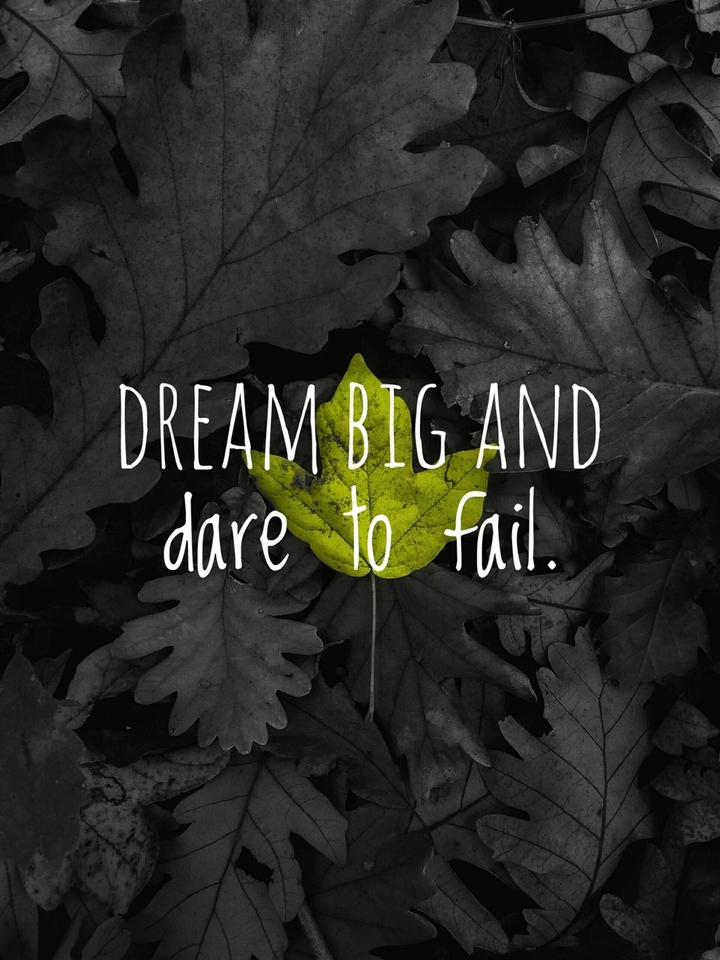 quotes