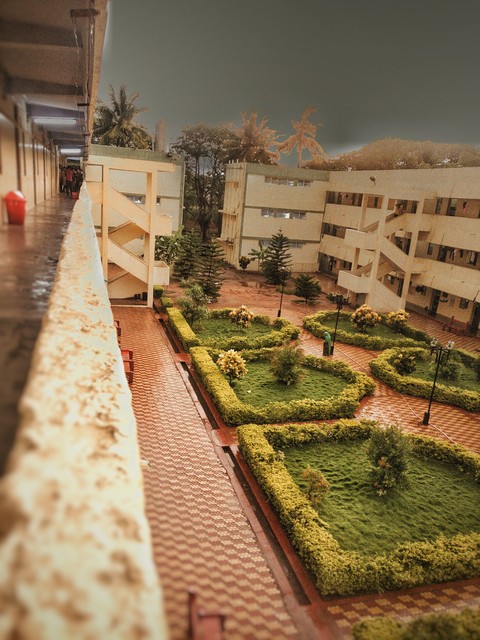 after rain