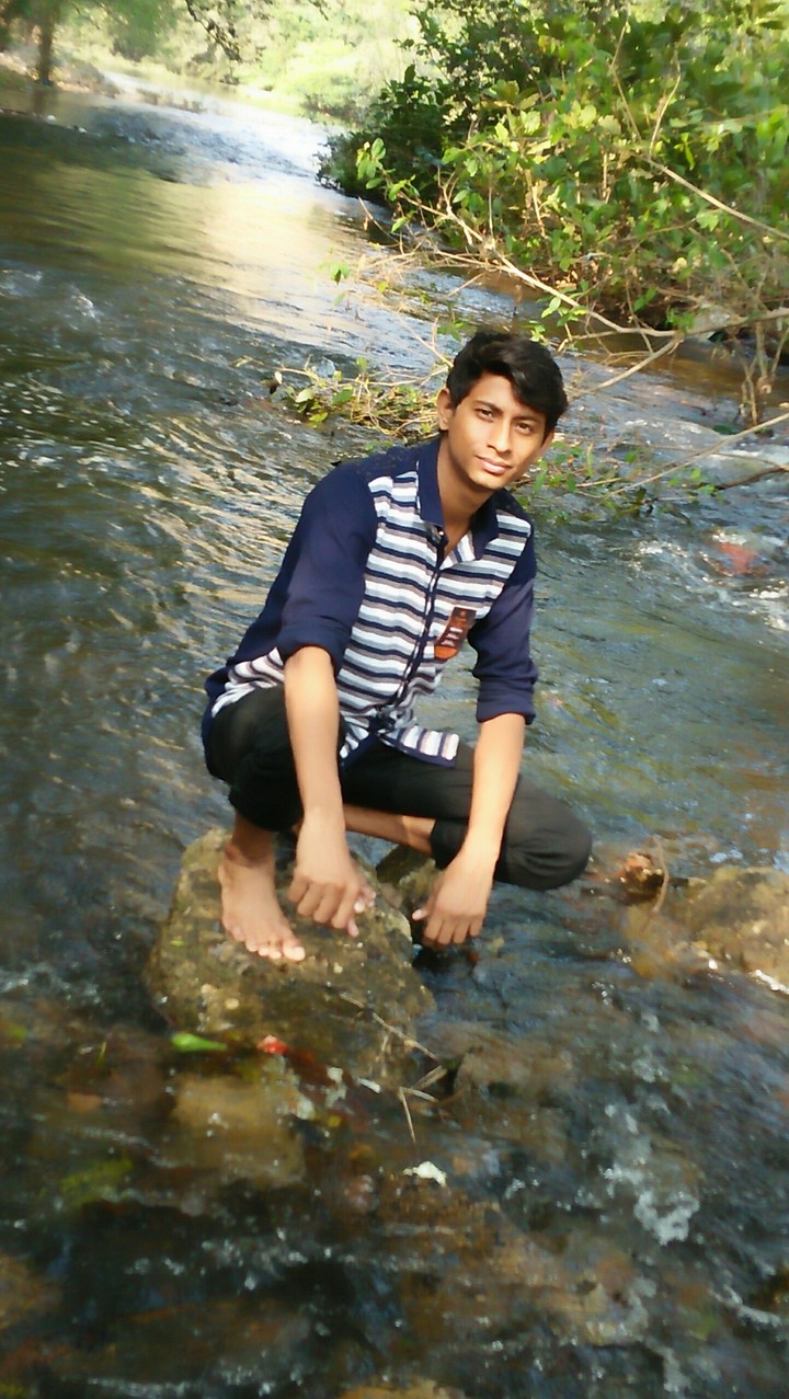 mayur go on polo forest