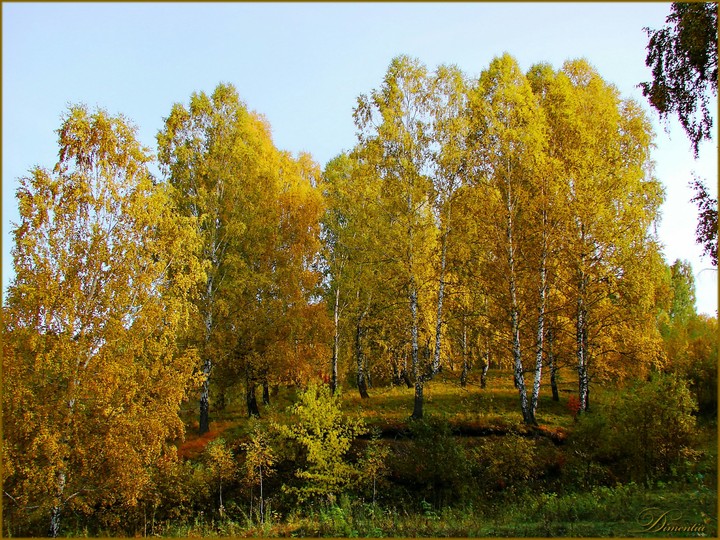 осень
