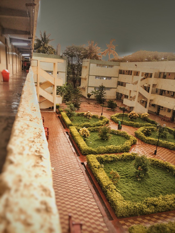 after rain