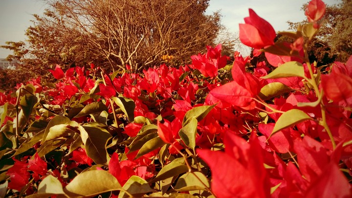 beautiful time