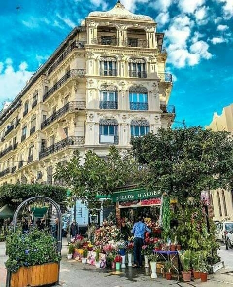 Algérie alger