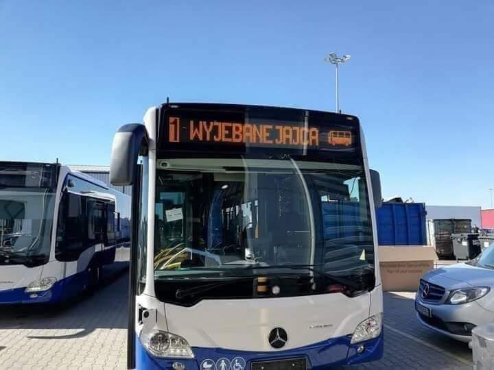 Autobus