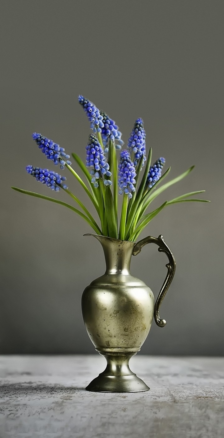 The lavenderness