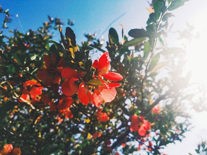 let nature tell a story