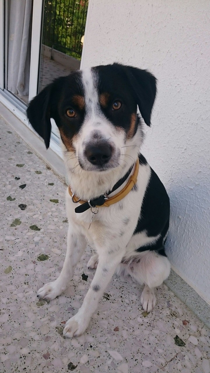 My Bruno