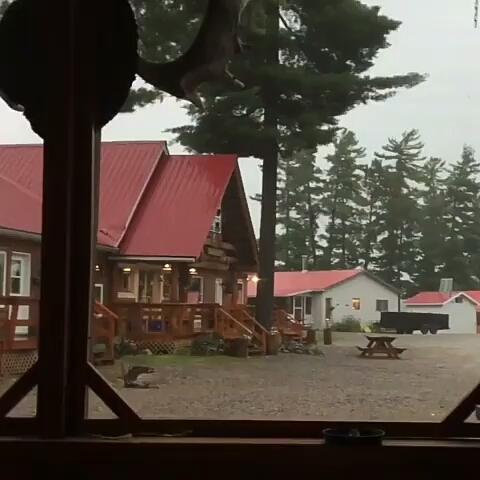 thunder