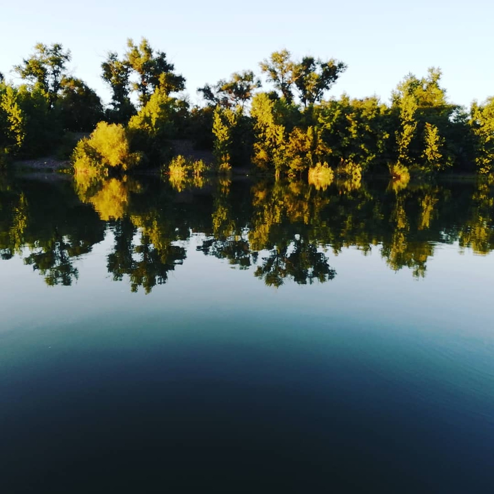 красота
