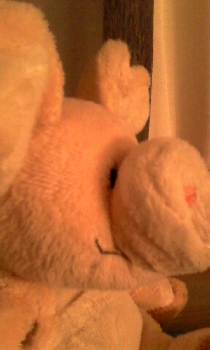 Pig′s face