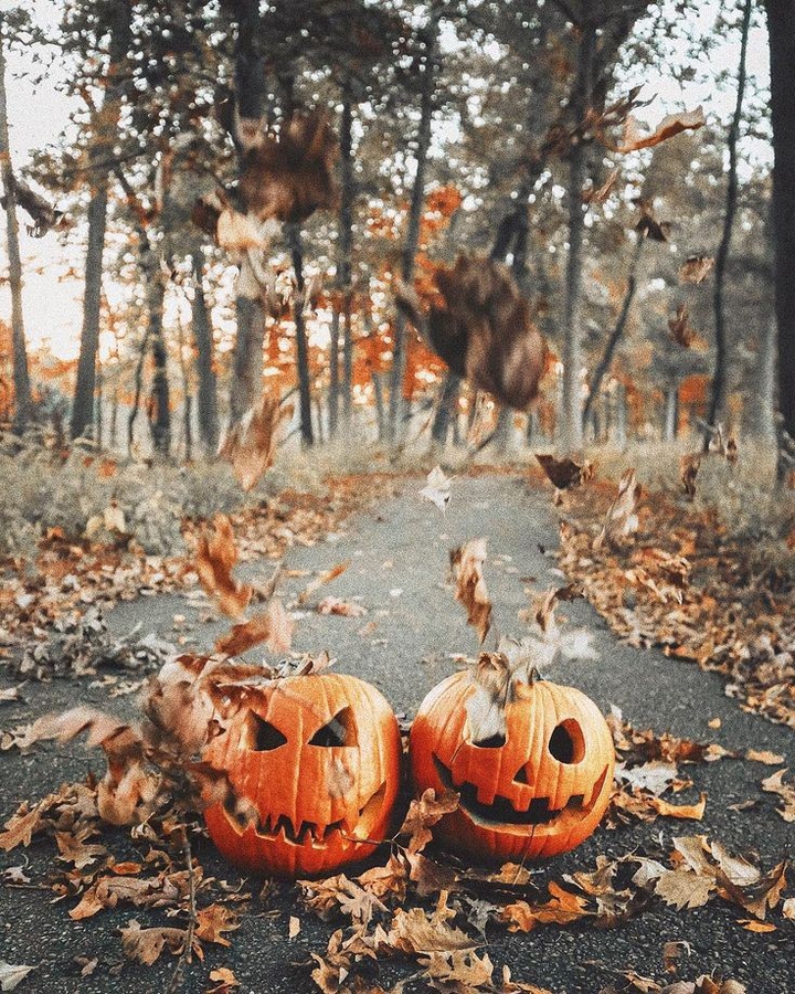 Spooky Pumpkins ¡