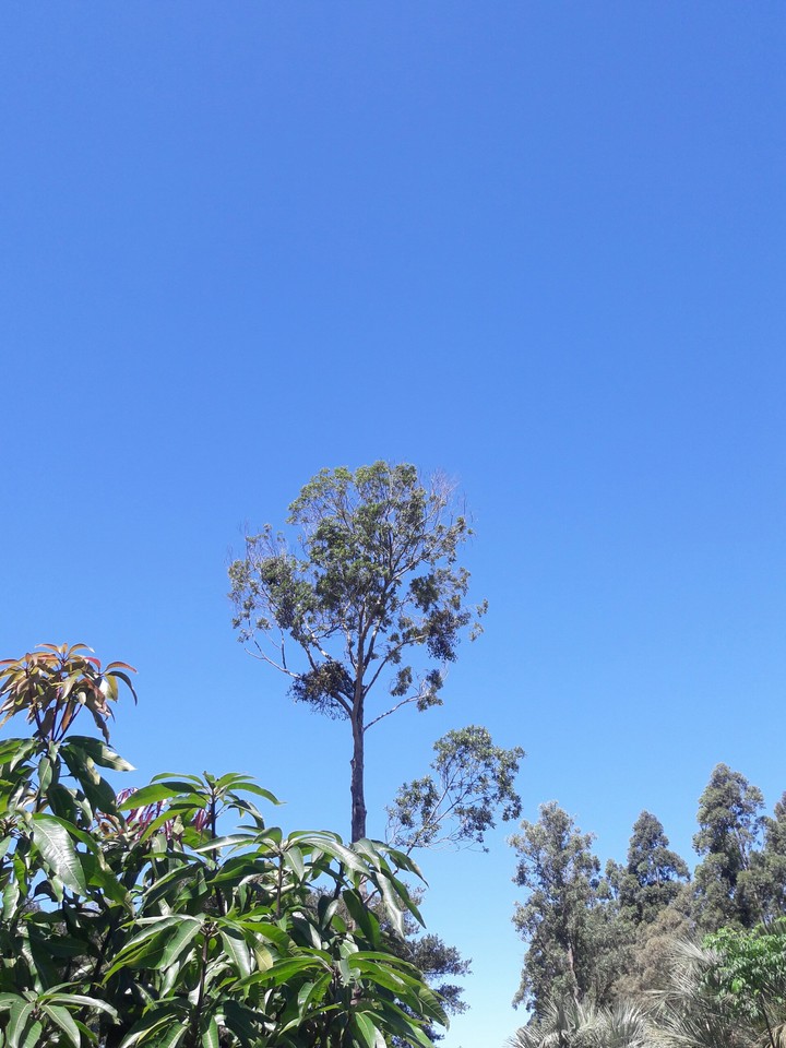 Natureza