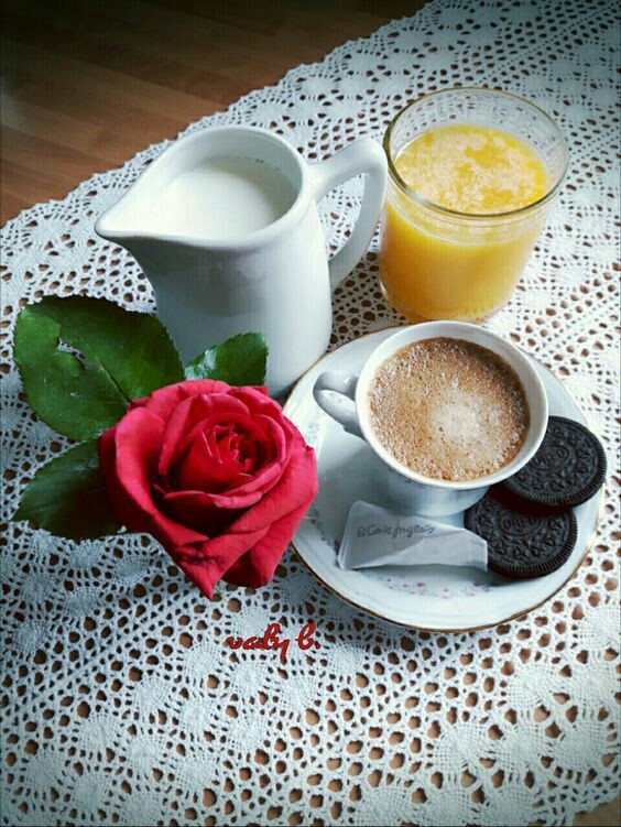 Bonjour... good morning... صباح الخير